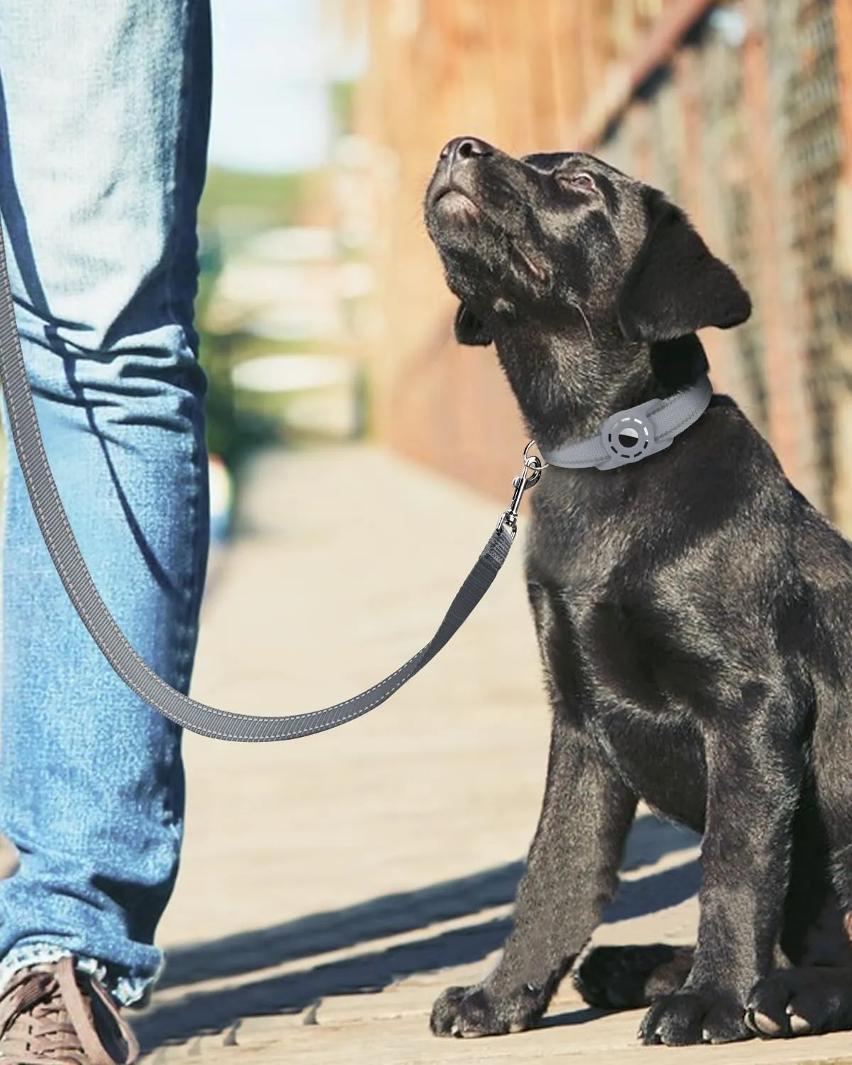 6FT Reflective Nylon Dog Leash with Soft Padded Handle for Walking, Running and Training, Supports Small Medium and Large Dogs (Grey, 3/4Inch Wide)