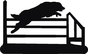 Agility Jump Letter Racks