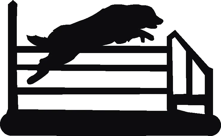 Agility Jump Letter Racks