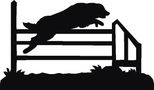 Agility Jump Weathervane