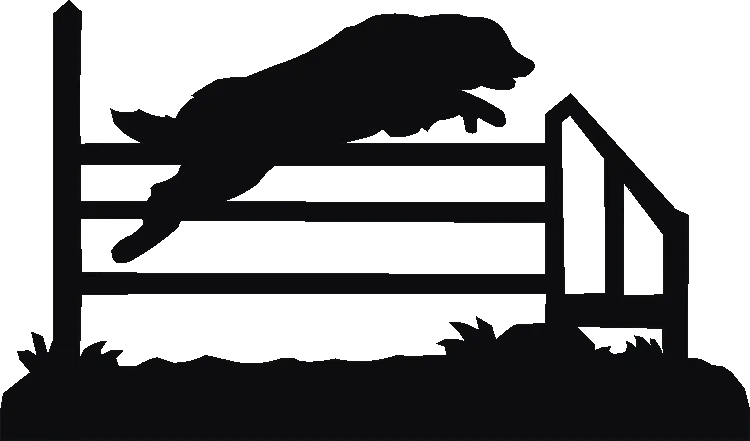 Agility Jump Weathervane