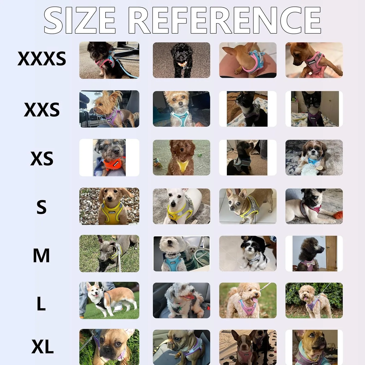 AIITLE Step in Dog  - ,,,, M 