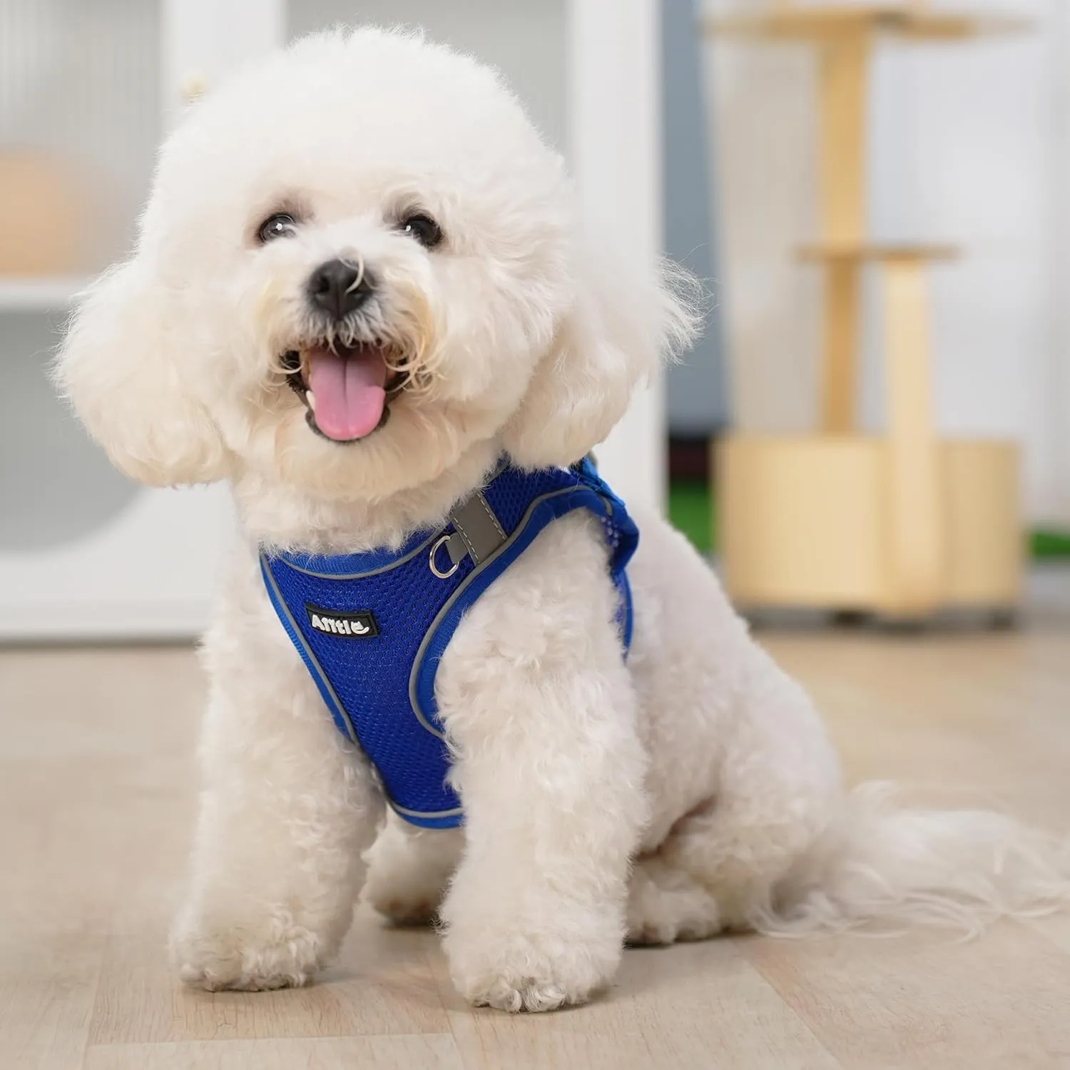 AIITLE Step in Dog  - ,,,, M 