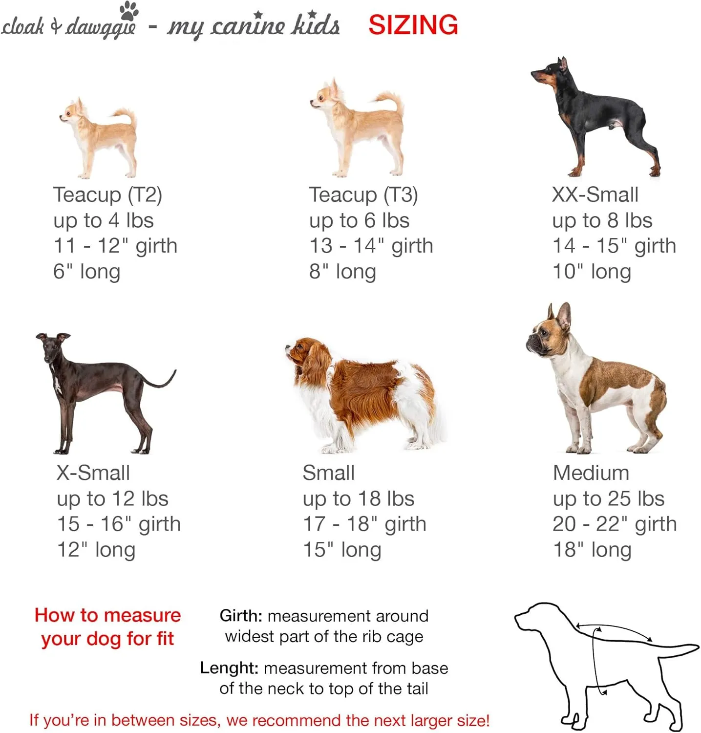 Cloak & Dawggie |  Step-N-Go    25  |  |  (7300/7350) (SM 12-18  10-4 2.25  ,)