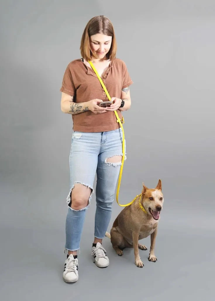 Customizable Hands Free Leash - Convertible Waterproof Biothane Lead