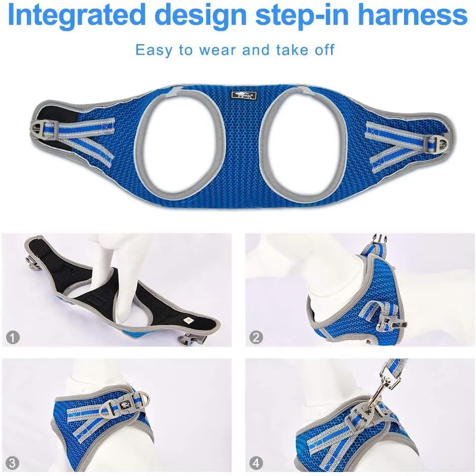 Dog and Cat Universal Harness with Leash - Cat Harness Escape Proof - Adjustable Reflective Step in Dog Harness for Small Dogs Medium Dogs - Soft Mesh Comfort Fit No Pull No Choke (S, Blue)