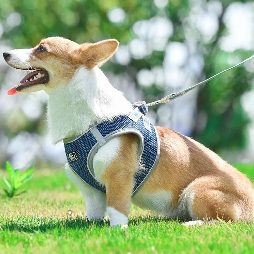 Dog and Cat Universal Harness with Leash - Cat Harness Escape Proof - Adjustable Reflective Step in Dog Harness for Small Dogs Medium Dogs - Soft Mesh Comfort Fit No Pull No Choke (S, Blue)