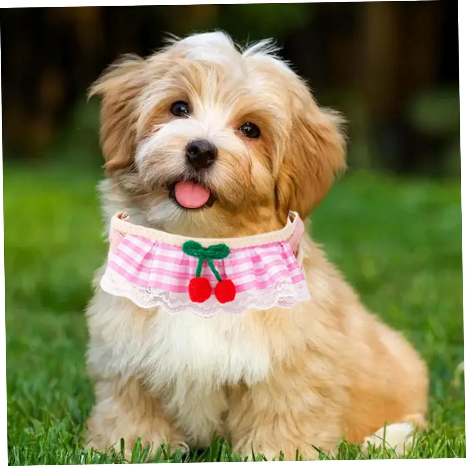 Dog Harness and Leash Set Lace Design Cute Cherry Soft Breathable Adjustable Puppy Harness and Leash Set S