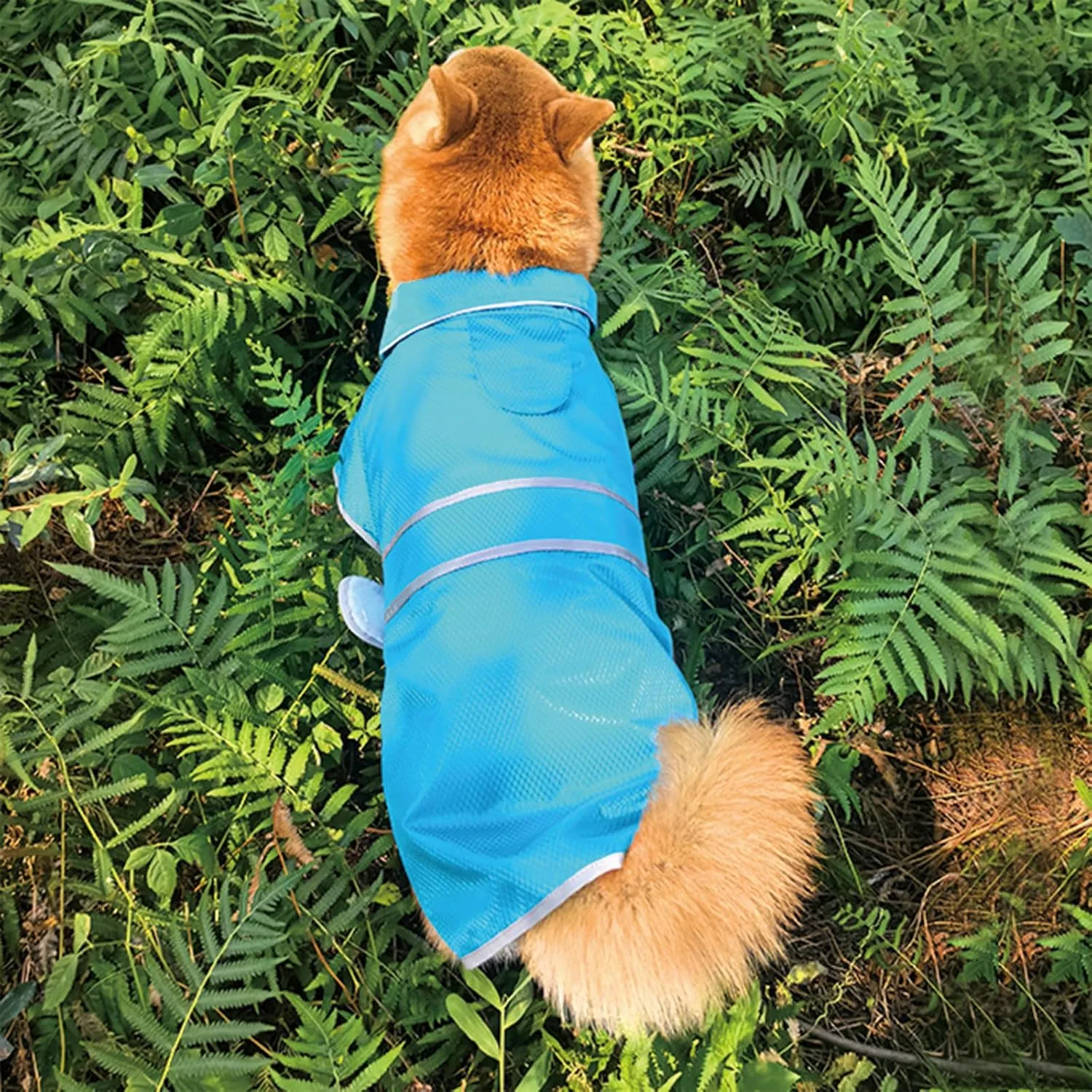 Dog Raincoat| Waterproof Adjustable & Lightweight Dog Jacket with Reflective Strips| Easy Step-in Closure for All-Weather| Fits Small Medium Large Dogs(Blue,Large)