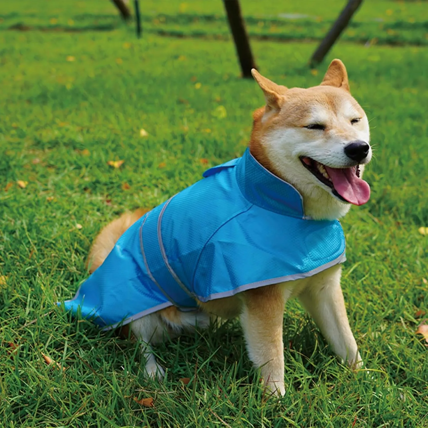 Dog Raincoat| Waterproof Adjustable & Lightweight Dog Jacket with Reflective Strips| Easy Step-in Closure for All-Weather| Fits Small Medium Large Dogs(Blue,Large)