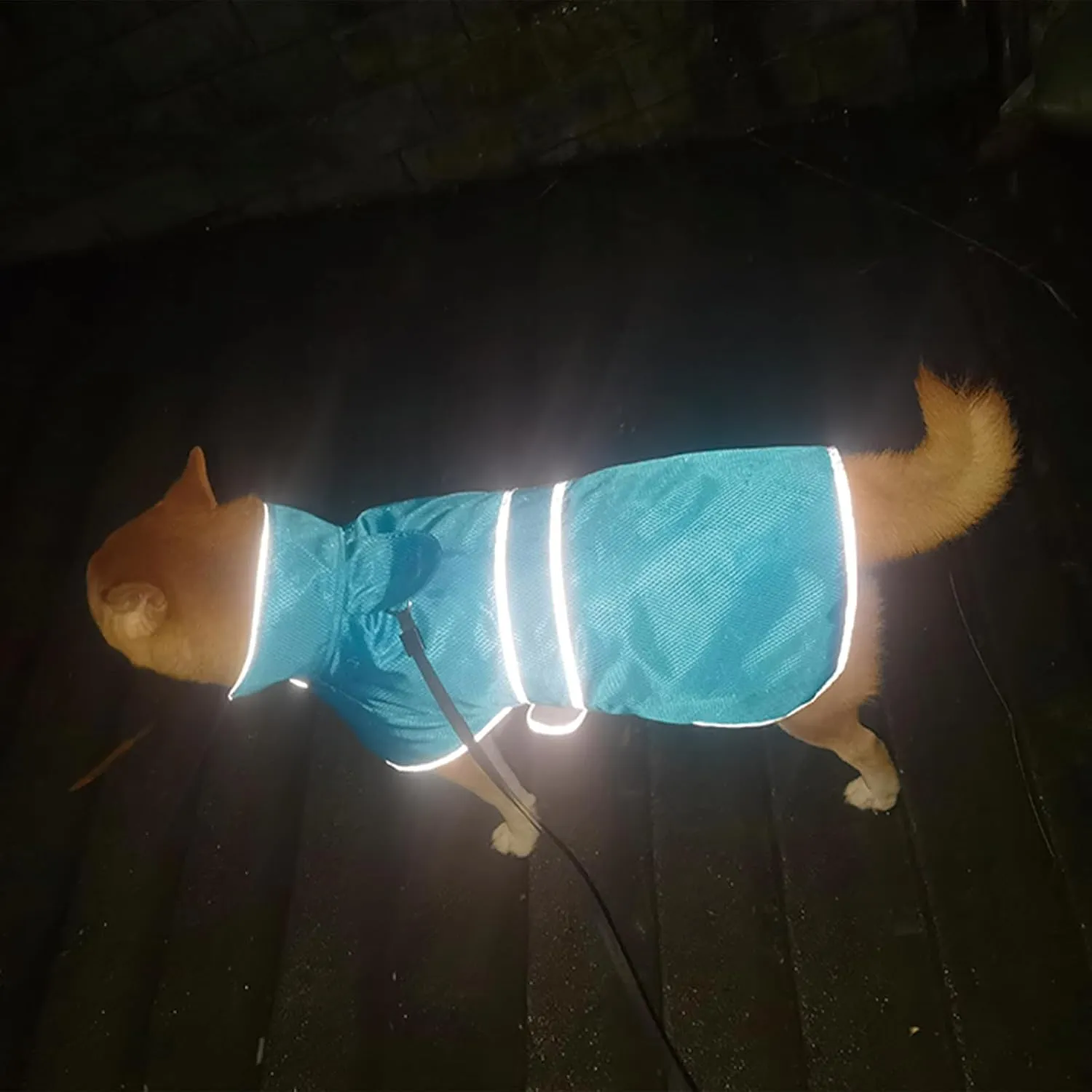 Dog Raincoat| Waterproof Adjustable & Lightweight Dog Jacket with Reflective Strips| Easy Step-in Closure for All-Weather| Fits Small Medium Large Dogs(Blue,Large)