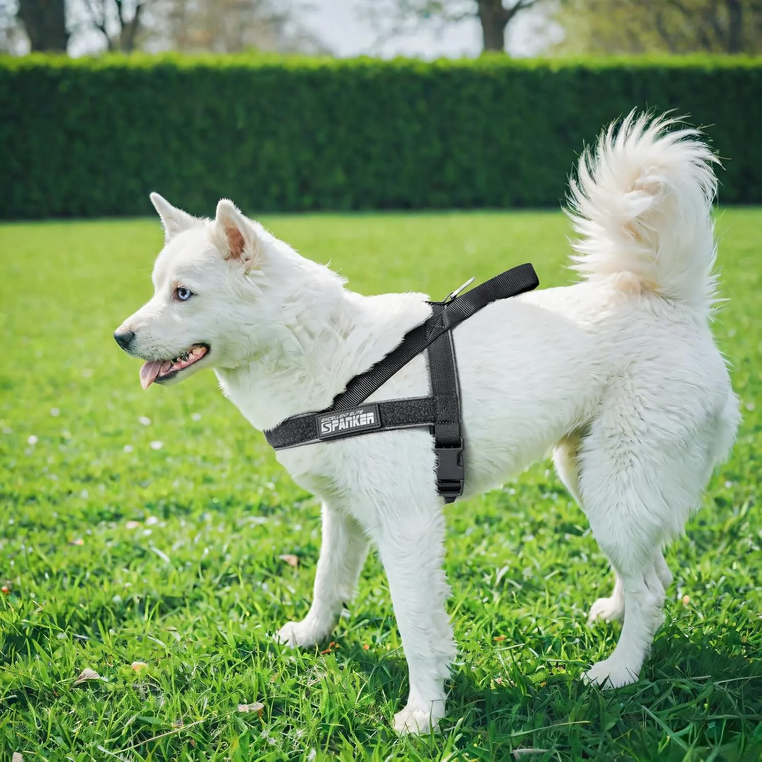 EXCELLENT ELITE SPANKER No Pull Dog Harness Padded Military Patrol K9 Vest Adjustable Nylon Small Service Walking Dog Harness with Handle for Training Running(Grey-S)