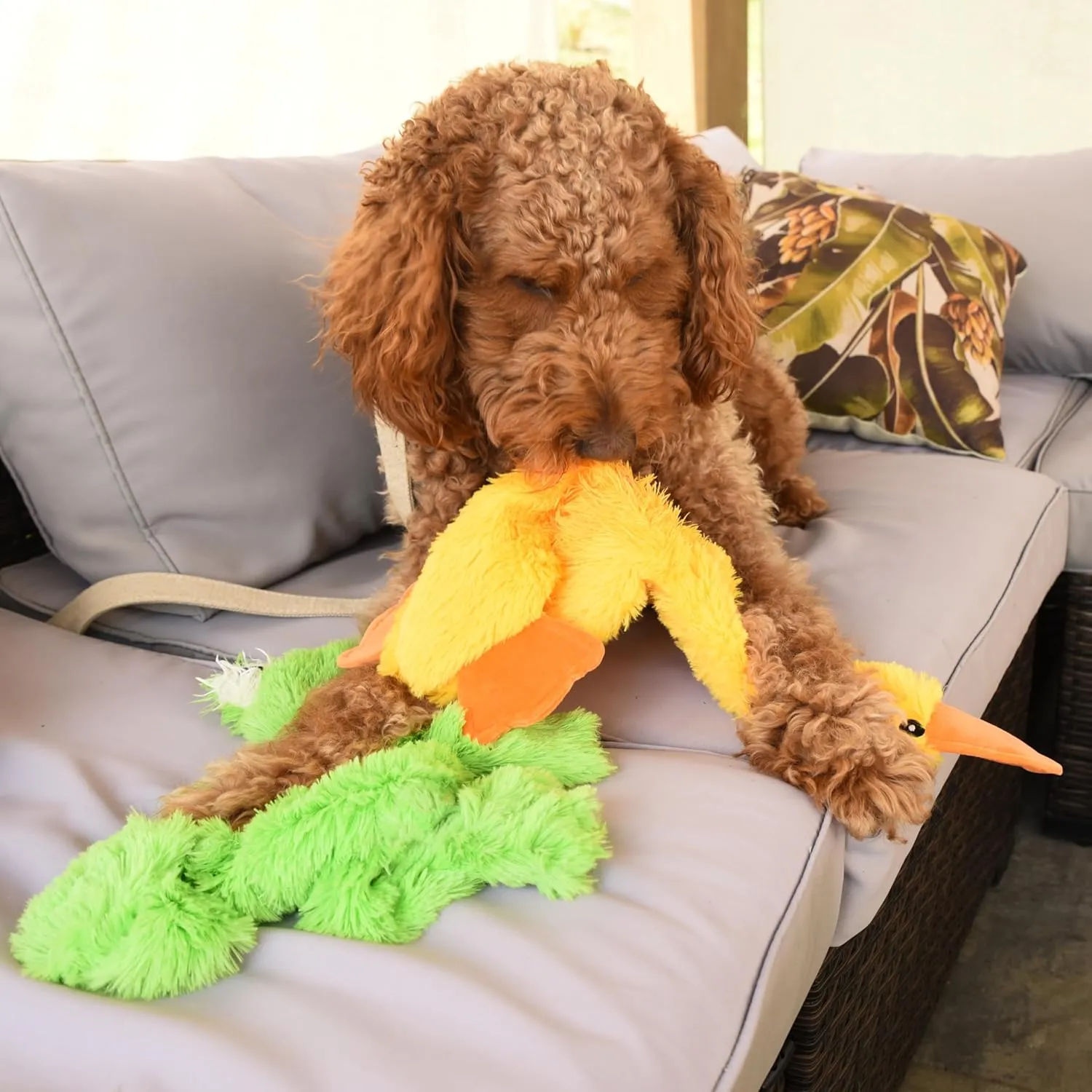 FGA MARKETPLACE Duck and Frog Flat NO Stuffing NO Squeak Plush Dog Toy, Funny Style Will Entertain Your Pet for Hours, Recommended for Small and Medium Dog 21 INCH Long