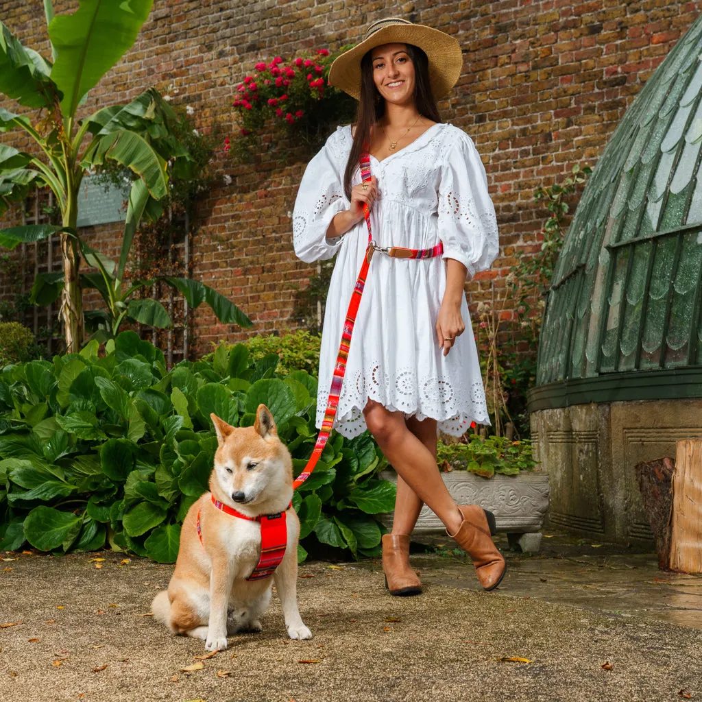 Inca Orange Hands Free (Coupler) Dog Lead
