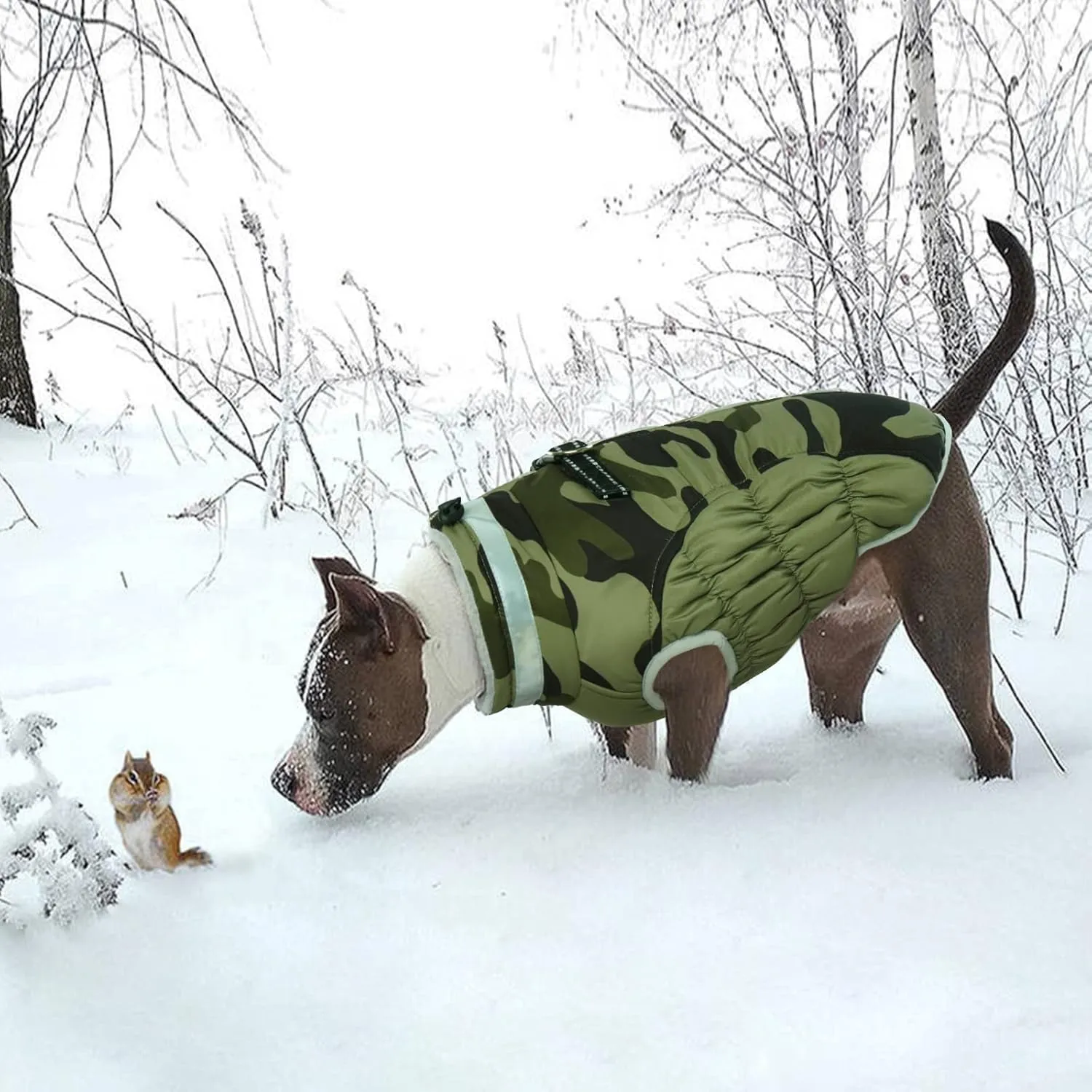 Lelepet Small Dog Winter Coat - Waterproof, Windproof, Reflective, Padded, Fleece, Turtleneck, Zippered Snow Jacket with Harness, Camo, XS