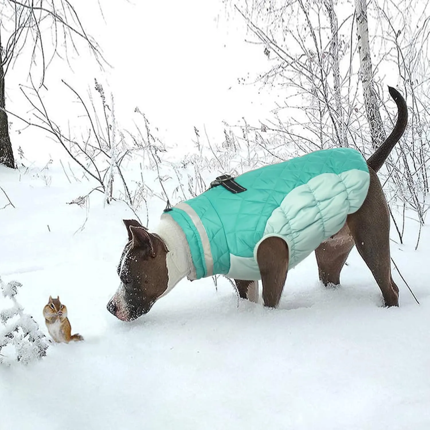 Lelepet Warm Winter Coat for Large Dogs - XX-Large Waterproof Jacket with Harness, Cold Weather Windproof Reflective Fleece Vest, Turtleneck Zippered Snowsuit, Neo Mint, 2XL