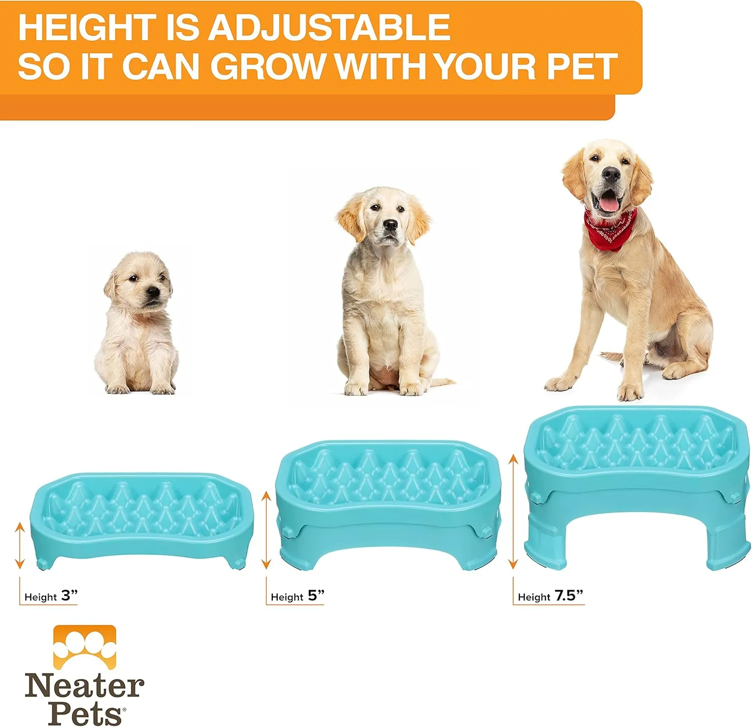 Neater Pet Brands  Neater Raised Slow Feeder Dog Bowl  Elevated and Adjustable Food Height - (6 Cup, Aquamarine)