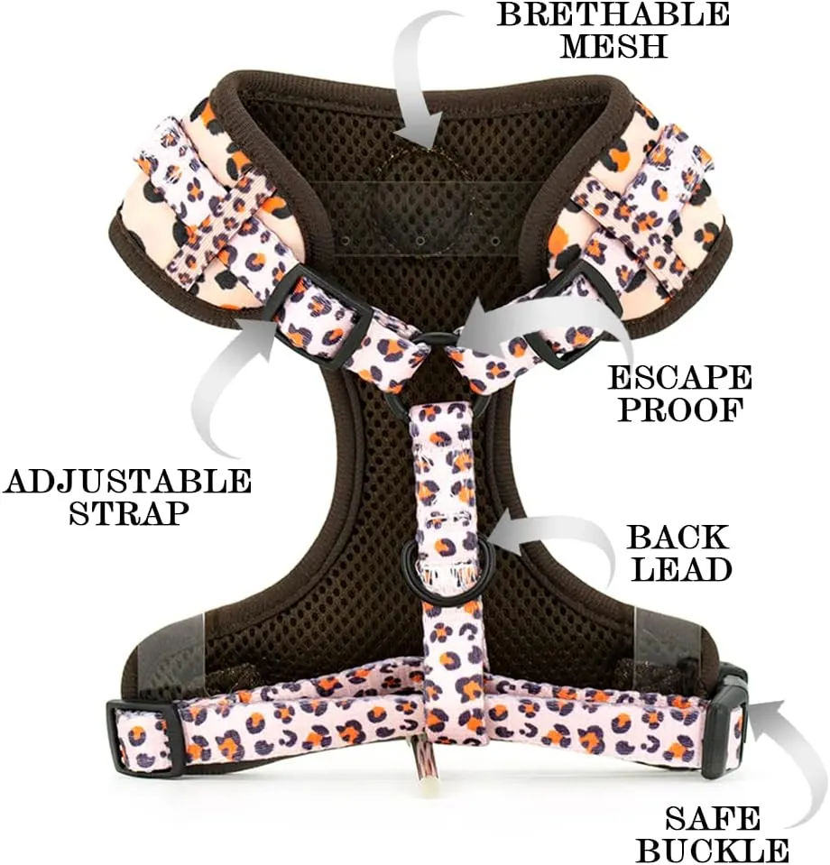 No Pull Dog Harness and Leash Set, Adjustable and Soft Padded Dog Vest Harness for Small Medium Large Dogs