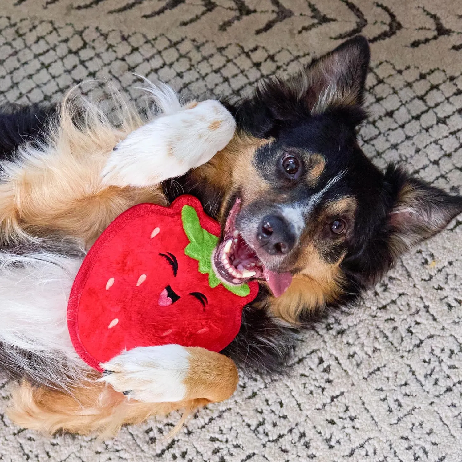 Outward Hound Tough Skinz Strawberry, Red, Medium