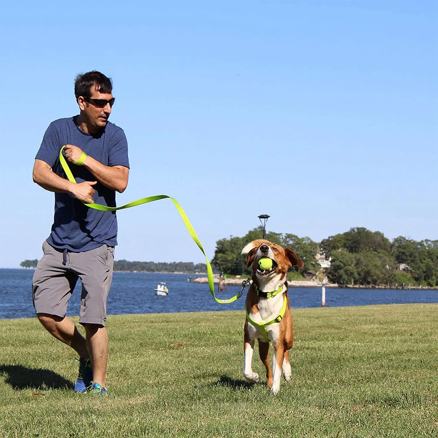 Pawtitas  Step in Dog Harness or Vest Harness    