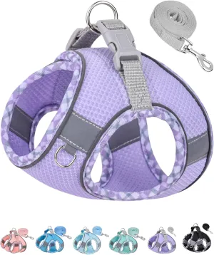 Petank Dog Harness for Small Medium Dogs No Pull, Puppy Harness and Leash Set, Step in Dog Harness for Walking, Running, Training (Purple, L)