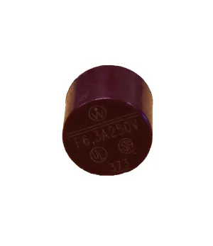 PRECOR REPLACEMENT FUSE, 6.3A, SLOW BLOW, 250VAC, RADIAL