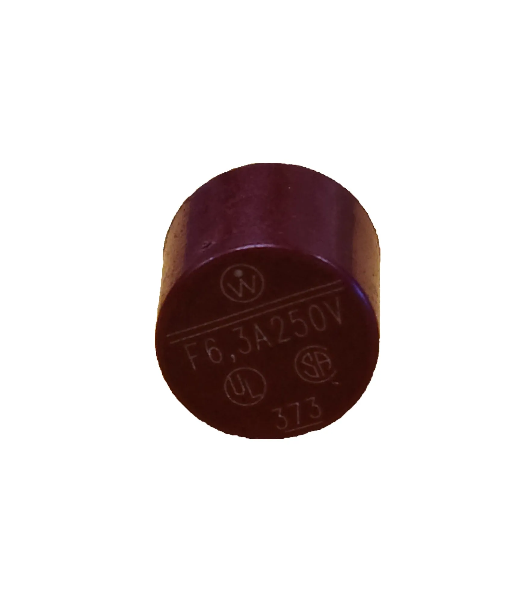 PRECOR REPLACEMENT FUSE, 6.3A, SLOW BLOW, 250VAC, RADIAL