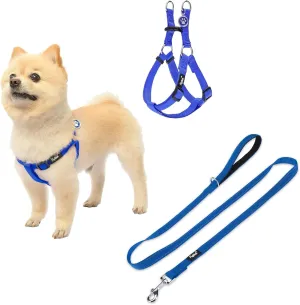 PUPTECK Dog Harness and Leash Set