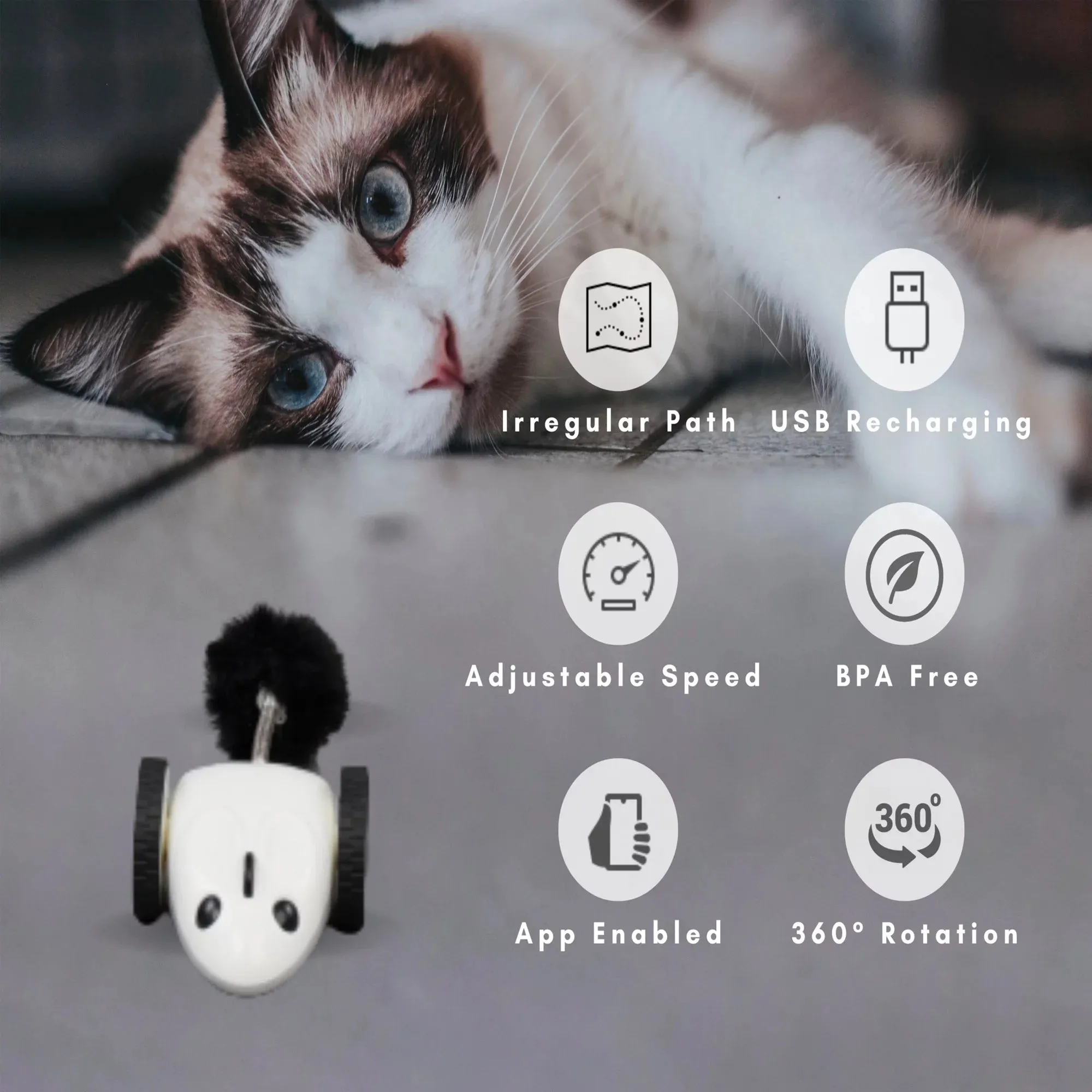 Purechase Smart Cat Toy – App-Controlled Interactive Mouse with Adjustable Speed & USB Charging