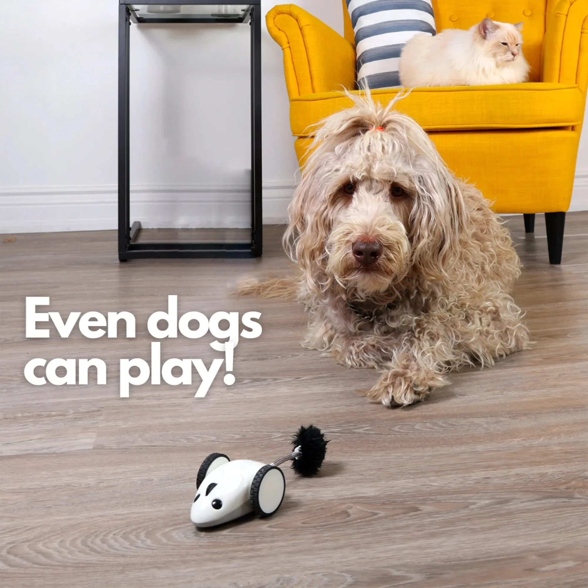 Purechase Smart Cat Toy – App-Controlled Interactive Mouse with Adjustable Speed & USB Charging