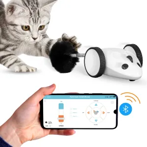 Purechase Smart Cat Toy – App-Controlled Interactive Mouse with Adjustable Speed & USB Charging