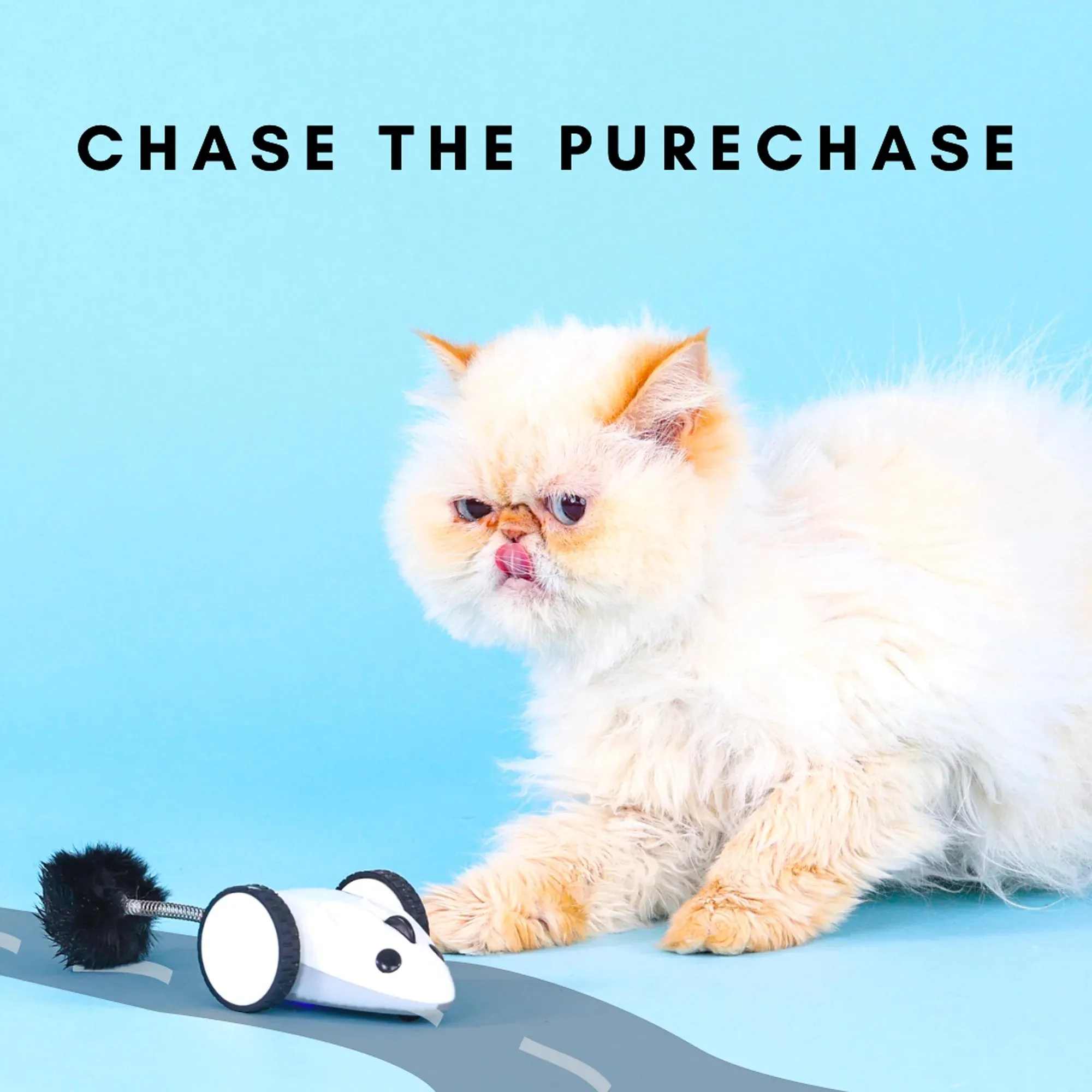Purechase Smart Cat Toy – App-Controlled Interactive Mouse with Adjustable Speed & USB Charging