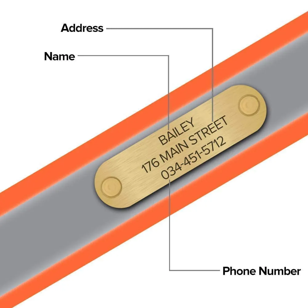 Regal Dog Products Large Orange Reflective Dog Collar with Custom Engraved Name Plate and Heavy Duty Center Ring | Waterproof Biothane Personalized Dog Collars - Other Sizes for Small & Medium Dogs