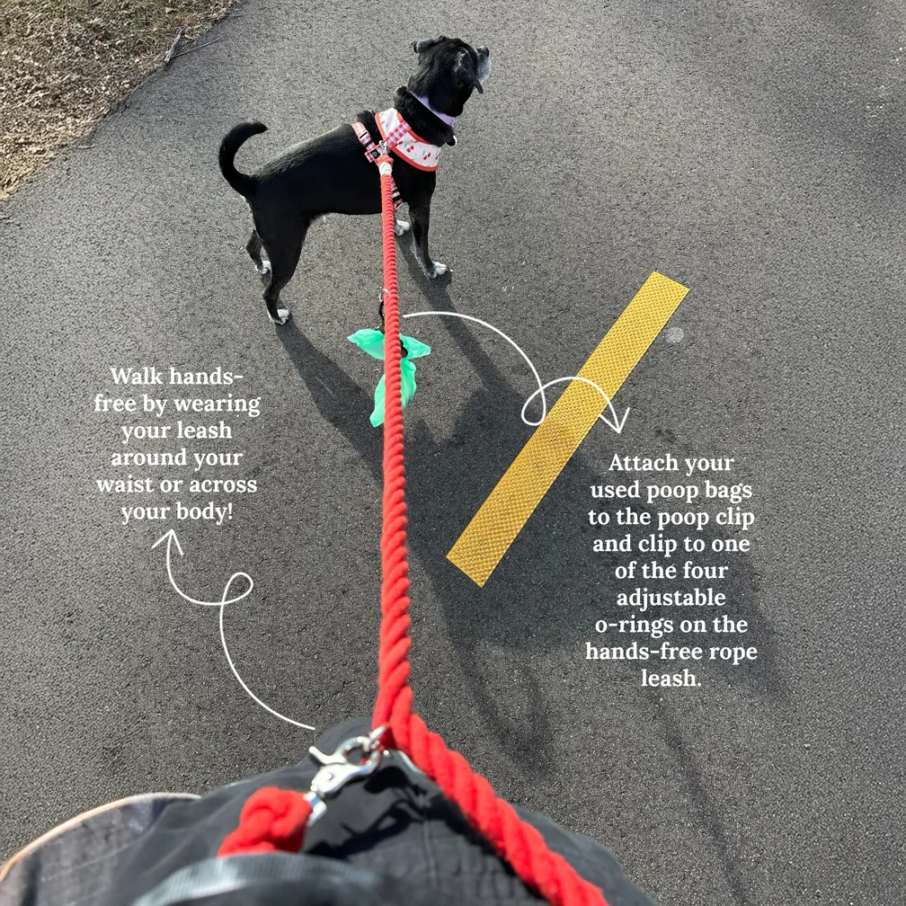 Rosewater Hands-Free Rope Leash