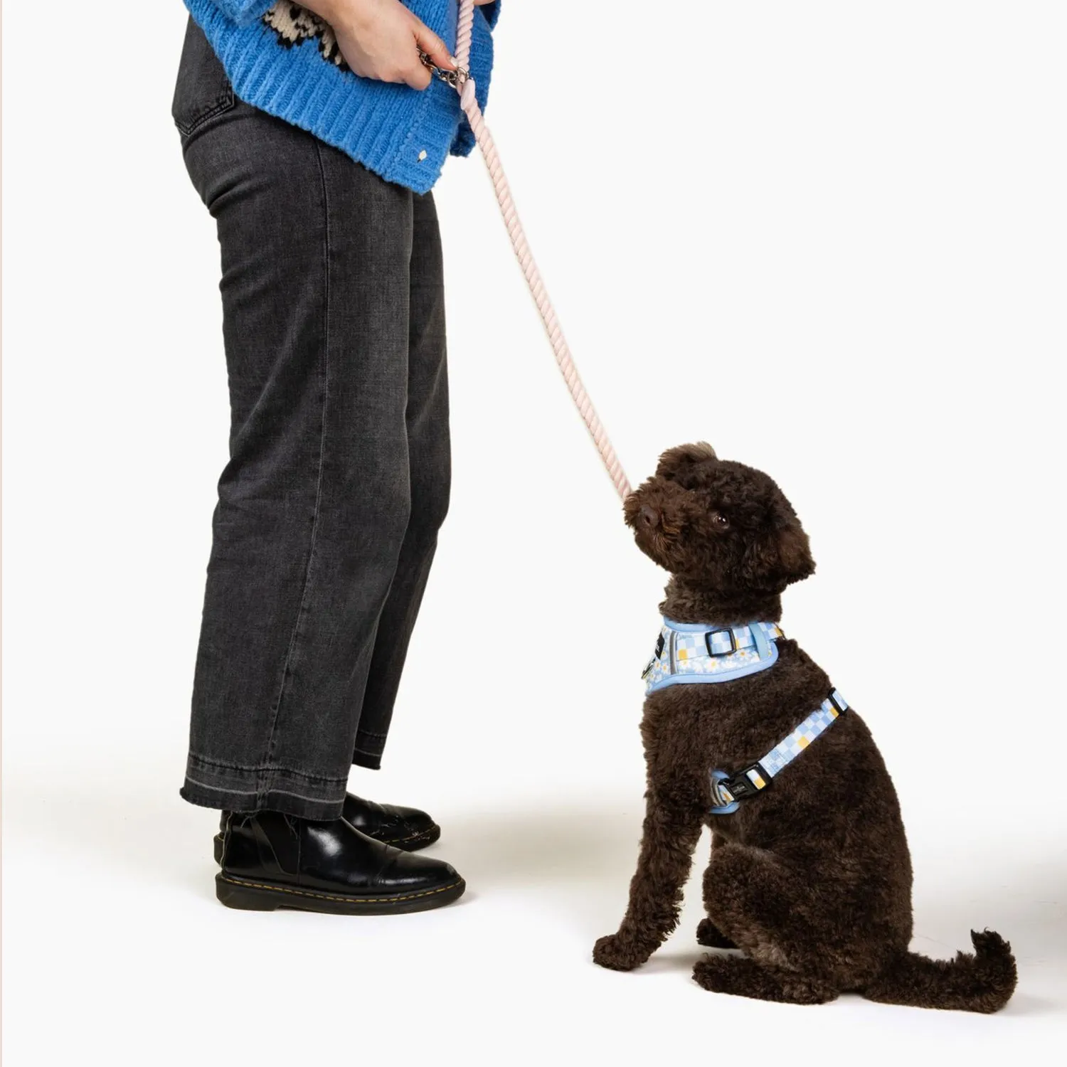 Rosewater Hands-Free Rope Leash