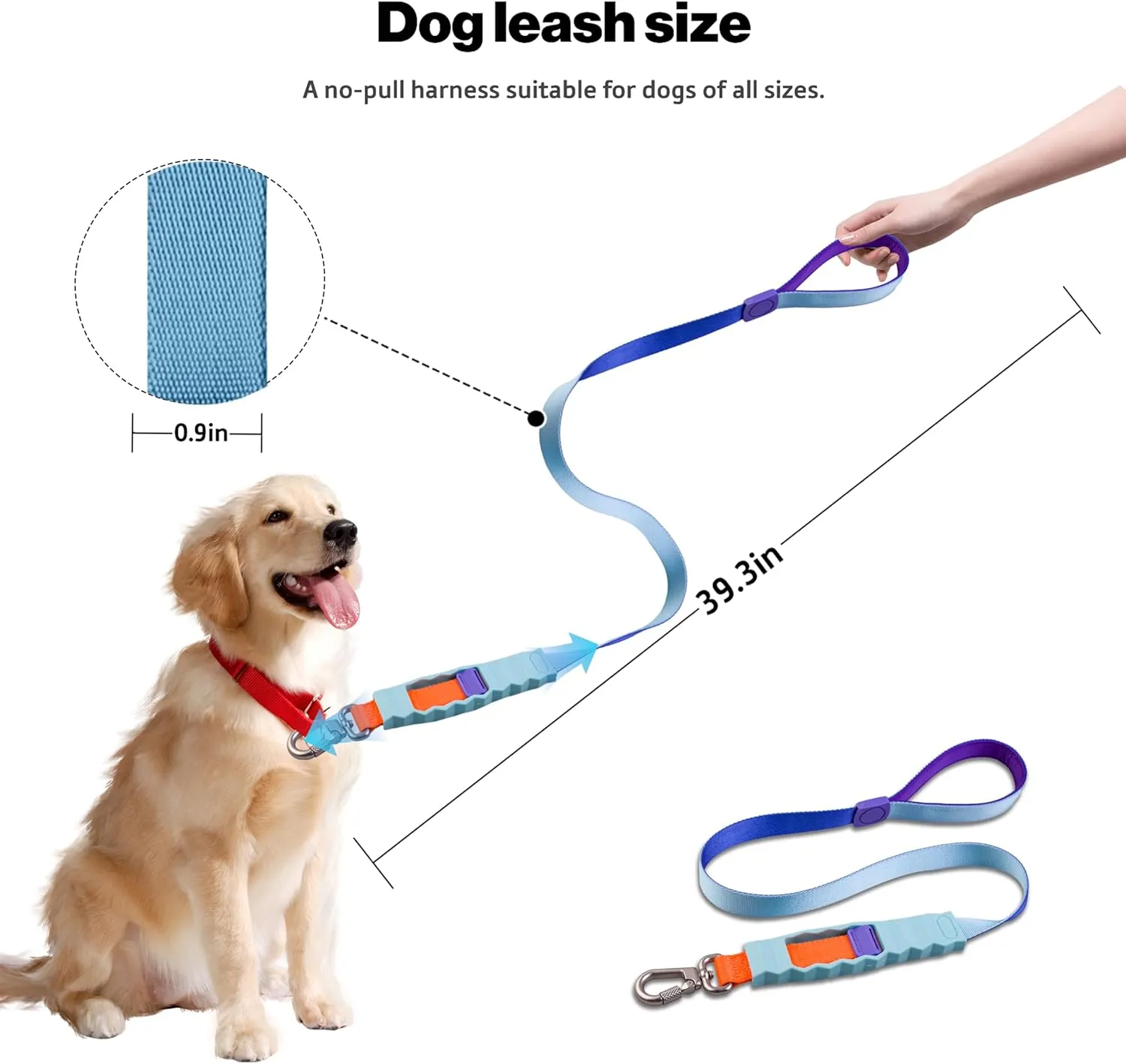 Shock Absorbing Dog Leash, Bungee Dog Leash with Swivel Lockable Hook & Padded Handle, No-Pull Lead for All Dog Sizes - Enhances Safety & Comfort for Outdoor Walks (Blue, Geo Leash)
