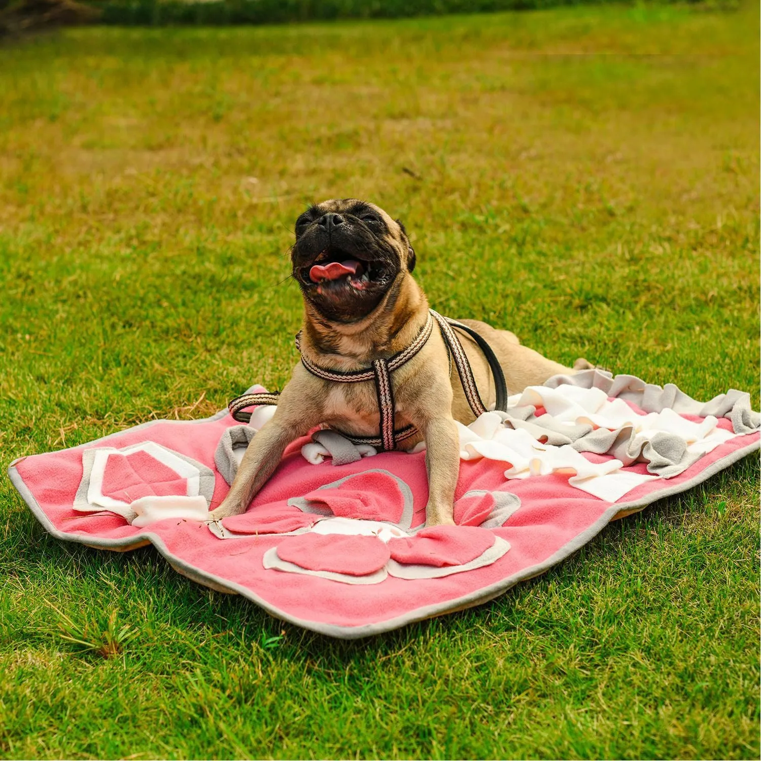 Snuffy - Pink Interactive Pet Snuffle Mat