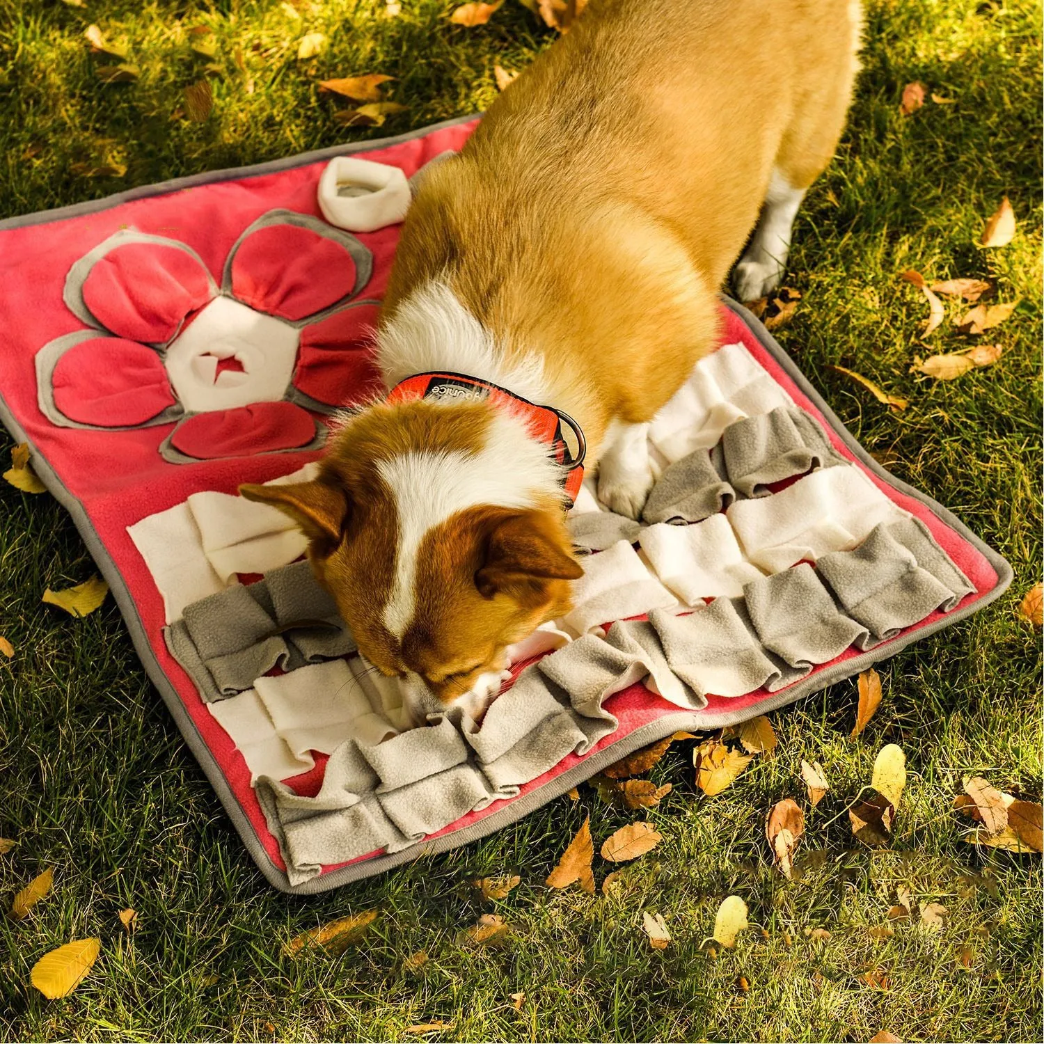 Snuffy - Pink Interactive Pet Snuffle Mat