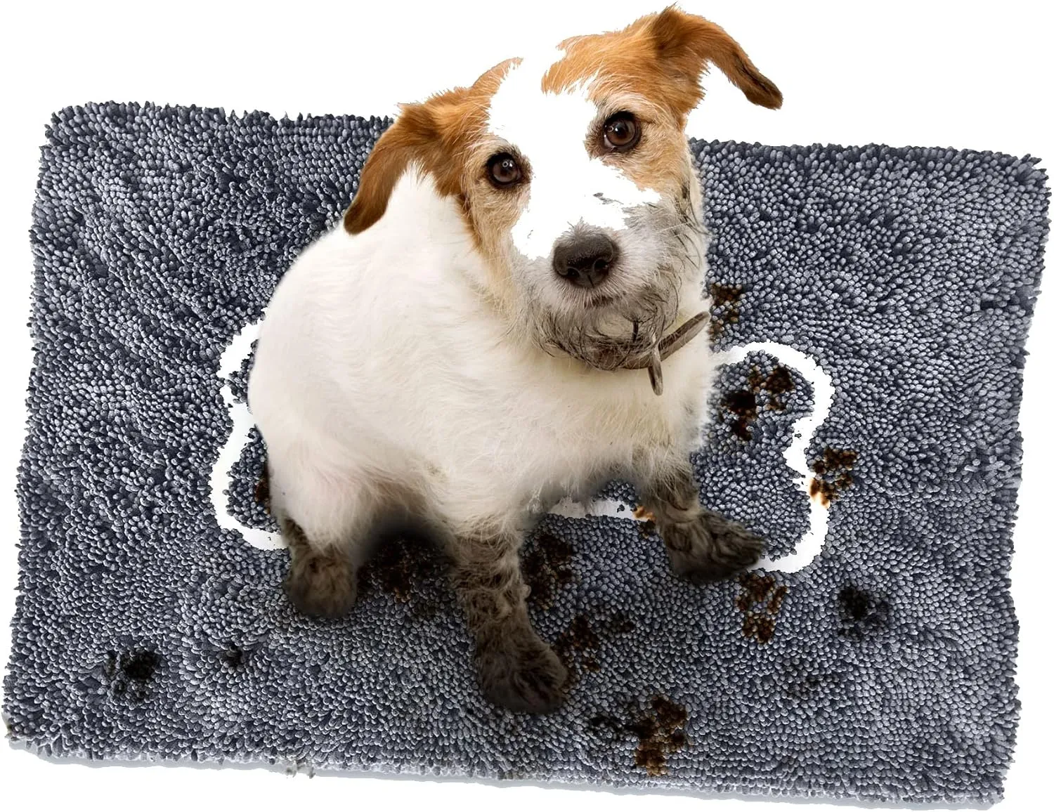 Soggy Doggy  / 