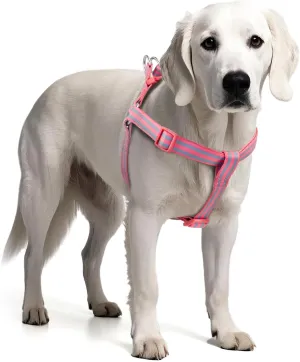 Stripe Step in Dog Harness ,,,, XS 