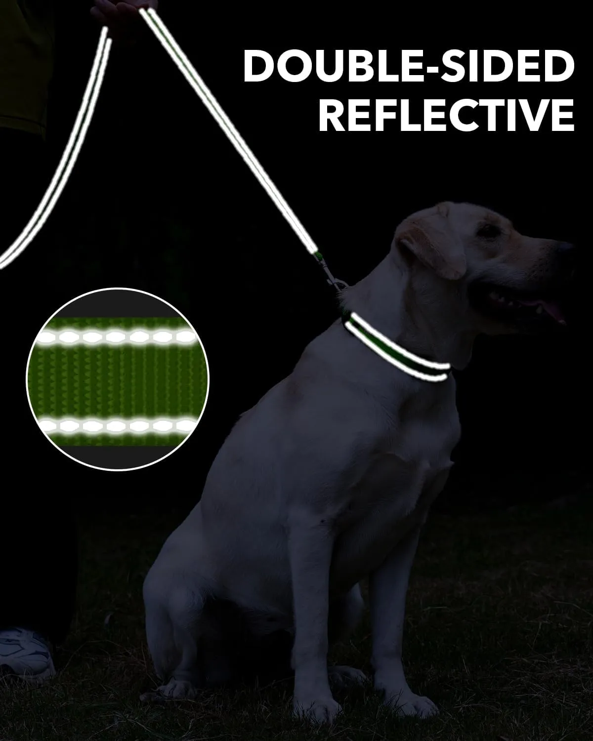 Taglory Dog Leash for Small Dogs, Double-Sided Reflective Leash with Soft Neoprene Padded Handle, 3/4 inch by 4 ft, Fit Small Medium Large Breeds Under 20 lbs, Green