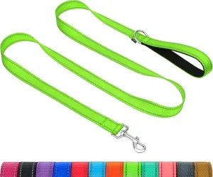 Taglory Dog Leash for Small Dogs, Double-Sided Reflective Leash with Soft Neoprene Padded Handle, 3/4 inch by 4 ft, Fit Small Medium Large Breeds Under 20 lbs, Green