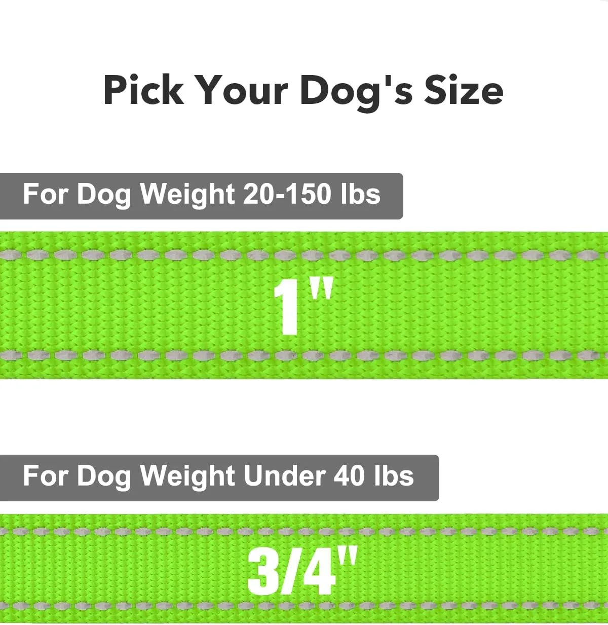 Taglory Dog Leash for Small Dogs, Double-Sided Reflective Leash with Soft Neoprene Padded Handle, 3/4 inch by 4 ft, Fit Small Medium Large Breeds Under 20 lbs, Green