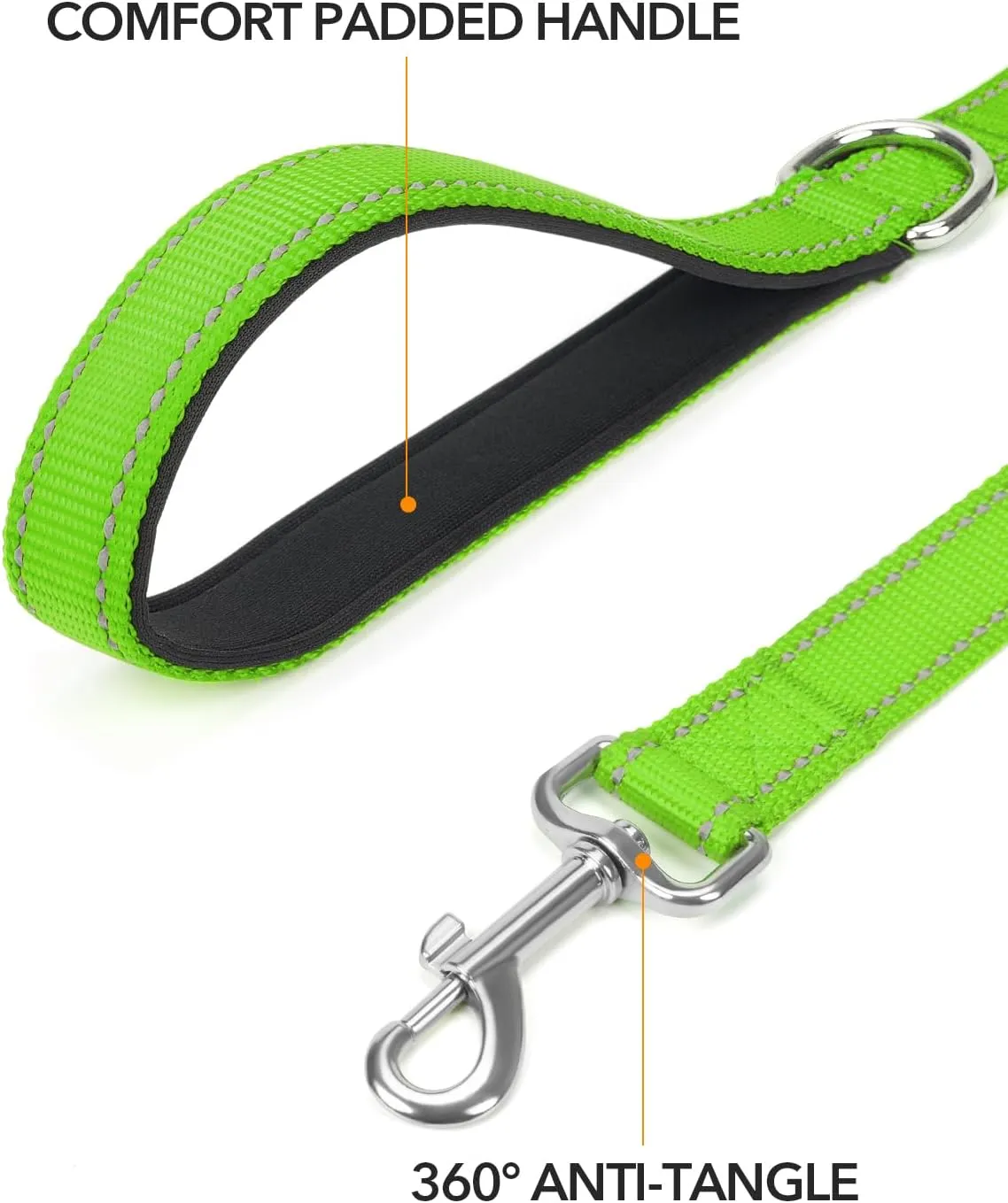 Taglory Dog Leash for Small Dogs, Double-Sided Reflective Leash with Soft Neoprene Padded Handle, 3/4 inch by 4 ft, Fit Small Medium Large Breeds Under 20 lbs, Green
