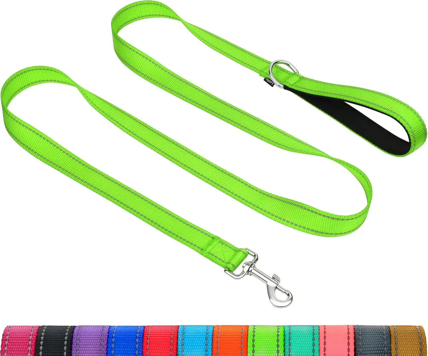 Taglory Dog Leash for Small Dogs, Double-Sided Reflective Leash with Soft Neoprene Padded Handle, 3/4 inch by 4 ft, Fit Small Medium Large Breeds Under 20 lbs, Green