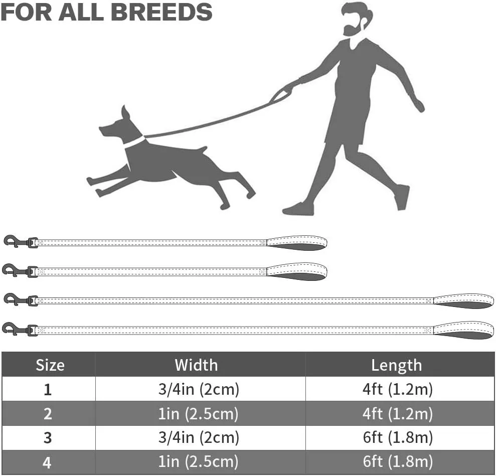 Taglory Dog Leash for Small Dogs, Double-Sided Reflective Leash with Soft Neoprene Padded Handle, 3/4 inch by 4 ft, Fit Small Medium Large Breeds Under 20 lbs, Green