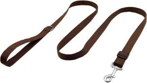 TAIAN Adjustable Nylon Dog Leash, 6FT/10 FT Long Dog Leashes for Small Medium Large Dogs (1 in x 6 ft, Brown)