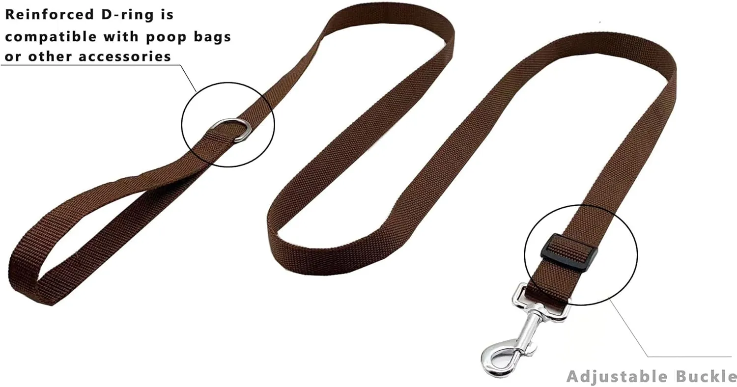 TAIAN Adjustable Nylon Dog Leash, 6FT/10 FT Long Dog Leashes for Small Medium Large Dogs (1 in x 6 ft, Brown)