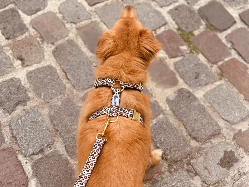 Wild Wild Wouf Leash
