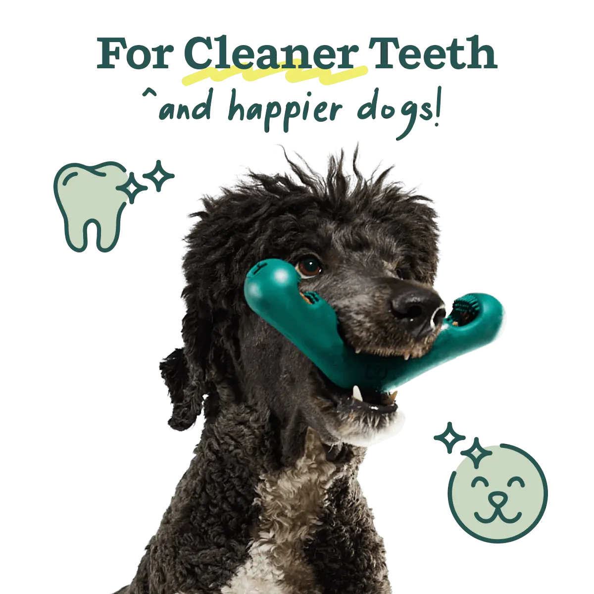 Woof Pet - The Bite n' Brush for Dogs